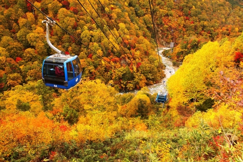 日本最長『苗場ドラゴンドラ』＆瞬間地上高日本一『田代ロープウェー』で紅葉の絶景を空中散歩