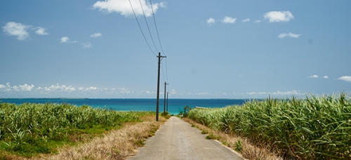 【島旅】石垣島・西表島・由布島・竹富島・小浜島　八重山諸島5島めぐり　3日間の旅