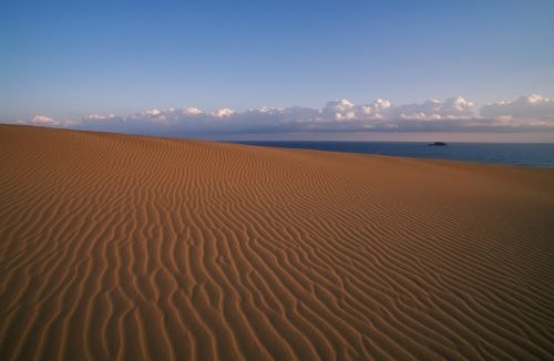 スカイマークで行く！山陰地方を巡る3日間の旅！死ぬまでに一度は行きたい「出雲大社」で初詣と昇殿参拝・日本三大砂丘の「鳥取砂丘」見学