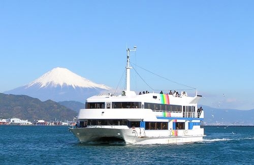 雄大な富士山の絶景！！清水港クルーズ＆絶品まぐろ料理を堪能！！日本平ロープウェイで行く！国宝『久能山東照宮』