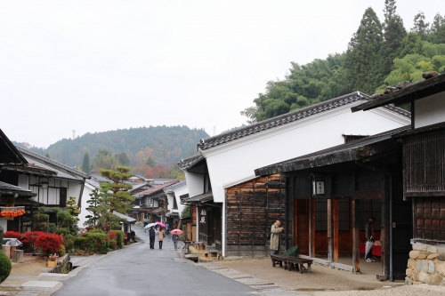 美肌の湯『天竜水神温泉』ともみじ湖もみじのトンネル　木曽ひのきの森林を走る「赤沢森林鉄道」