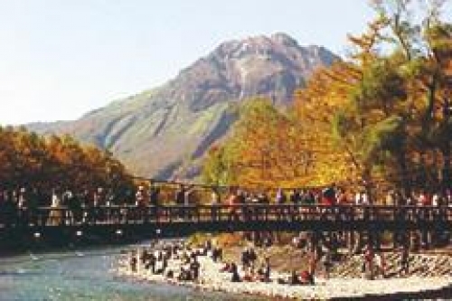 紅葉の“上高地”ライナー!マイカー規制で守られた圧巻の自然を浴びよう♪