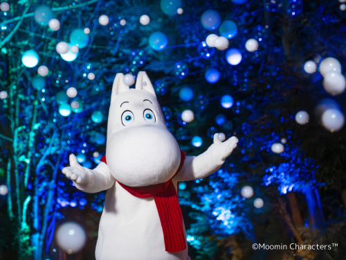 ☆冬季メルヘン紀行☆幻想的な「ムーミン谷のクリスマスイルミネーション」と小江戸「川越」散策