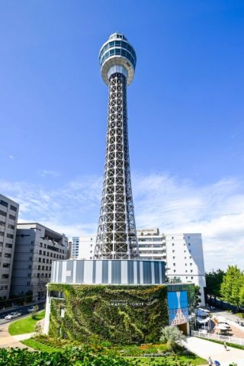 海と空が織りなす絶景、いつもと違う横浜へ!横浜マリーンルージュで味わうランチクルーズと横浜マリンタワー