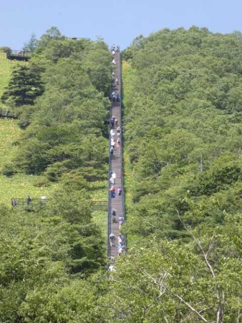 栃木の絶景☆空へと続く1445段の大階段! ニッコウキスゲ咲く!霧降高原キスゲ平『天空回廊』展望台