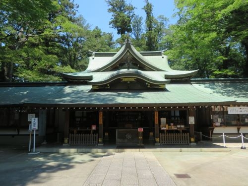 100万本の絶景！全国的に珍しい「八重ひまわり」＆ 一言の願いが叶うパワースポット『一言主神社』