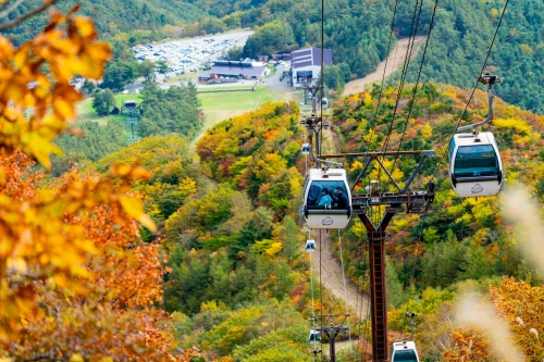絶景体験!紅葉の『あだたら山ロープウェイ』&ローカル線の旅、会津鉄道に乗ろう!