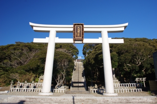 一面青の絨毯「ひたち海浜公園のネモフィラ」と境内から海が一望できるパワースポット「大洗磯前神社」