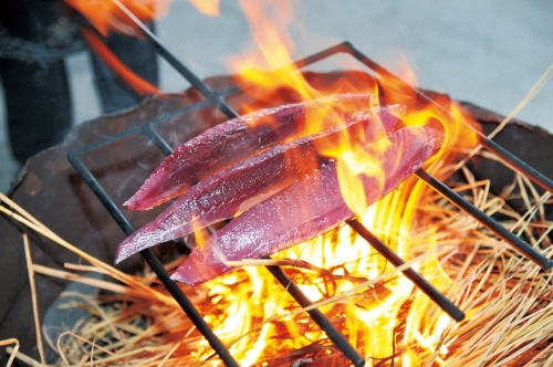 スカイマークで行く！高知・徳島・岡山をゆったり巡る絶景の旅3日間☆彡 土佐の名勝「桂浜」や南海の名城「高知城」を見学 ・日本最大級！「大塚国際美術館」世界の名画を鑑賞！