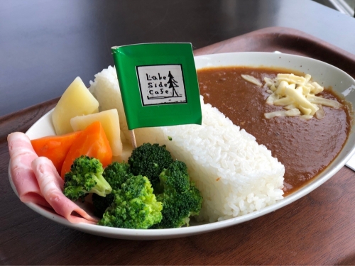 【空席わずか!】春の大人の社会科見学!大迫力『宮ヶ瀬ダム』!&ご当地パン「オギノパン工場見学」