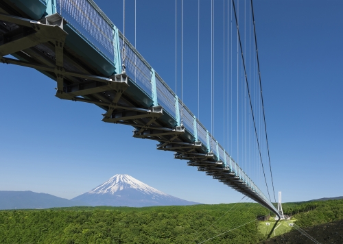 日本で唯一?！貴重な『高級マンゴー狩り』体験と日本最長400ｍ　富士を望む大吊橋『三島スカイウォーク』