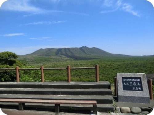 東京から一番近い大自然を満喫できる島 伊豆大島「椿まつり」