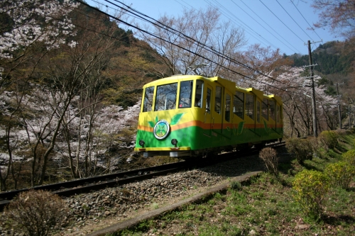 ケーブルカーで高尾山へ！かすみ台展望台や高尾山薬王院散策