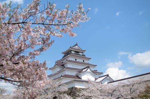 会津さくら巡りの旅！　喜多方『旧国鉄日中線しだれ桜並木』＆『鶴ヶ城さくらまつり』