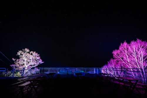 『HOSHIZORAゴンドラ』で幻想的な光の絶景へ＆苗場プリンスホテルでブッフェ