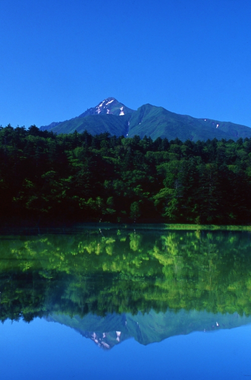 一度はいってみたい離島シリーズ第1弾!ベストシーズンの 花の浮島「利尻・礼文島」と日本最北の街「稚内」の絶景を巡る3日間の旅!