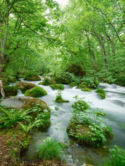 本州最果て・下北半島の絶景紀行と、新緑の奥入瀬渓流３日間