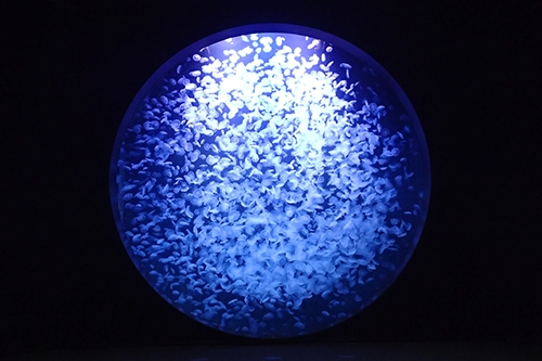 出羽三山神社12年に一度の特別な「羽黒山午歳御縁年」と リニューアルオープン加茂水族館と日本海の沈む夕日百選由良温泉『ホテル八乙女』