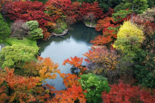 400年の歴史ある日本庭園！憧れの『八芳園』で贅沢ランチ＆旧朝香宮邸「東京都庭園美術館」