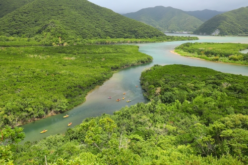 一度は行ってみたい離島シリーズ第4弾!あたたかな春の風に誘われて・・・世界自然遺産「奄美大島」と秘境「加計呂麻島」3日間の旅【20名様限定】