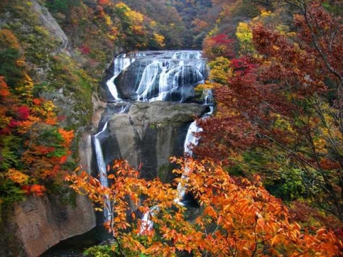 袋田の滝と紅葉の絶景!&スリル満点!竜神大吊橋を堪能するツアー