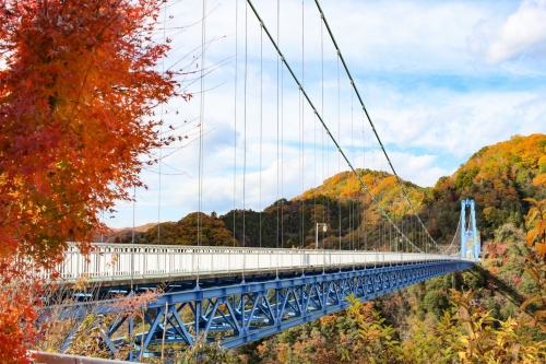 袋田の滝と紅葉の絶景!&スリル満点!竜神大吊橋を堪能するツアー
