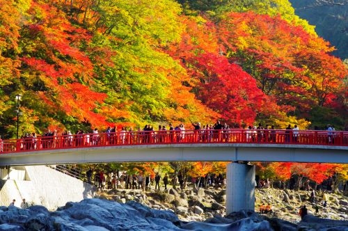 古刹・渓谷・そして名城　東海の美秋を巡る旅