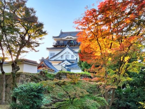 古刹・渓谷・そして名城 東海の美秋を巡る旅