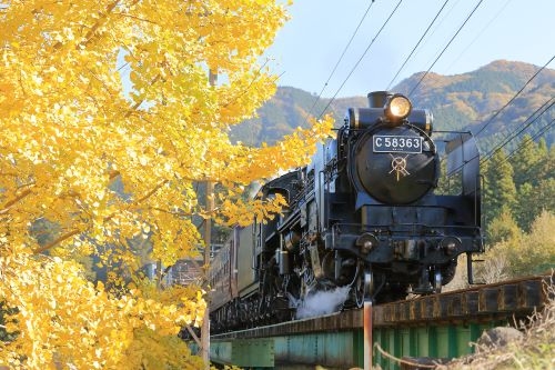 レトロ列車『SLパレオエクスプレス』で行く紅葉旅！車窓から眺める秋景色＆長瀞もみじのトンネル