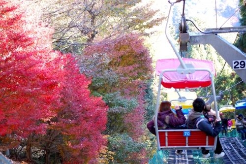 ケーブルカーで紅葉の高尾山へ!